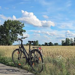 Fietstocht:  Zondag 7 september 2025