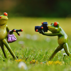 Zomer Vakantiefoto-actie: Deel jouw mooiste vakantieherinnering!